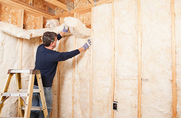 Types of Insulation We Offer in Spring Valley Lake, CA